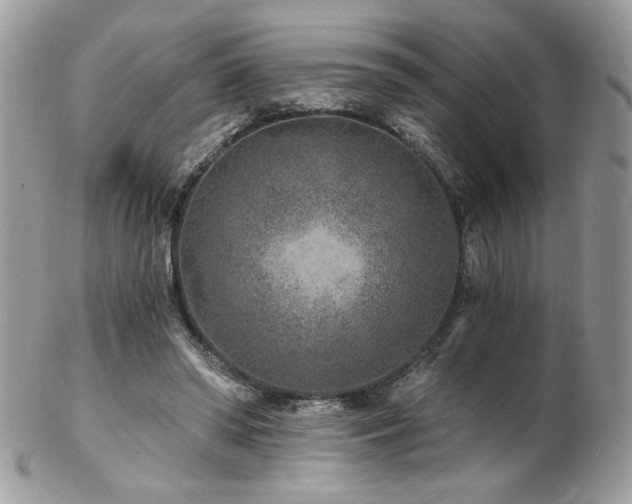 X0000102820398200808181250