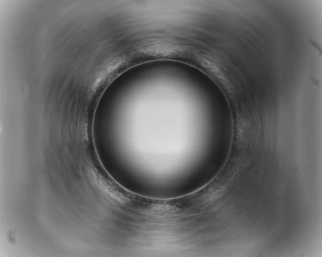 X0000102820399200808181250