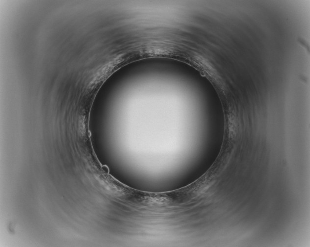 X0000102820401200808181250
