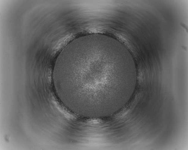 X0000102820402200808181250
