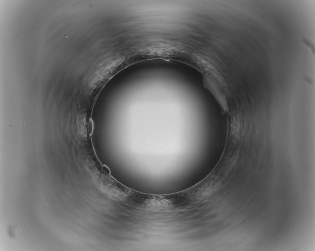 X0000102820403200808181250