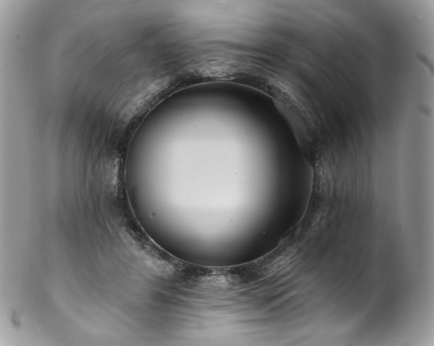 X0000102820404200808181250