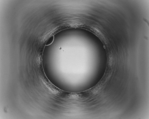 X0000102820405200808181250
