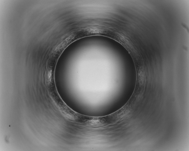 X0000102820406200808181250