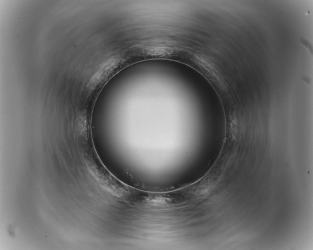 X0000102820407200808181250