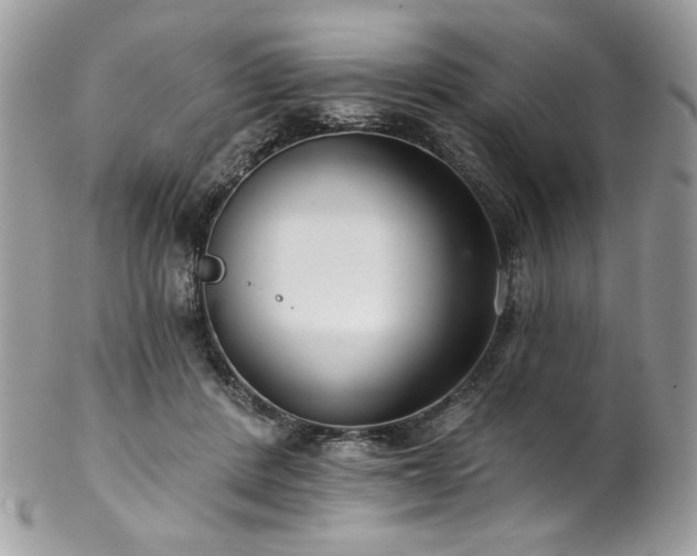 X0000102820408200808181250