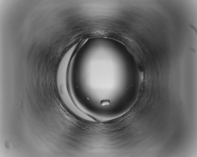 X0000102820409200808181250