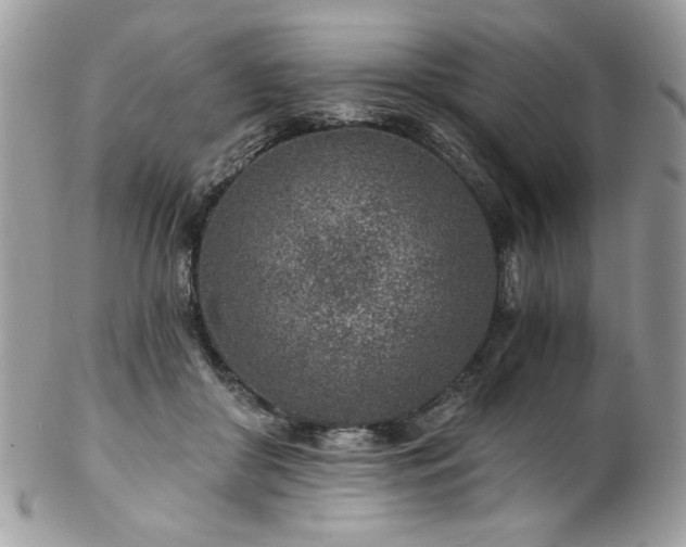 X0000102820410200808181250