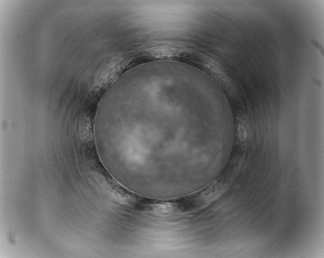 X0000102820411200808181250