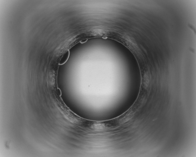 X0000102820413200808181250