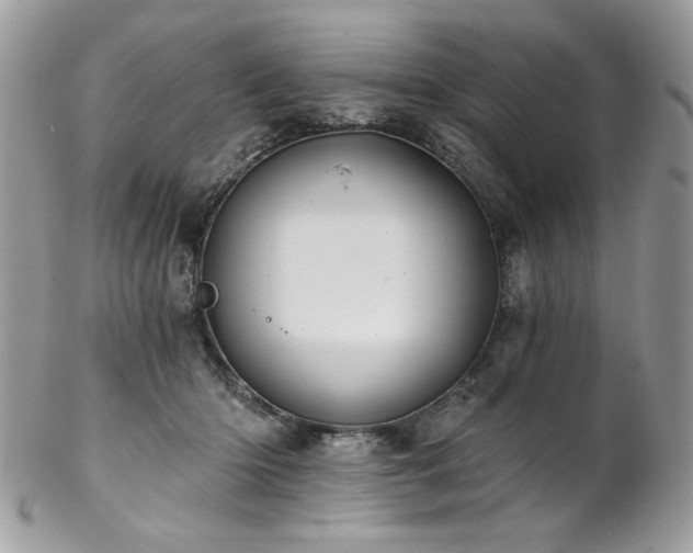 X0000102820414200808181250