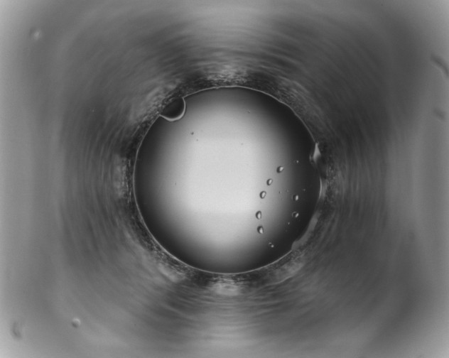 X0000102820416200808181250