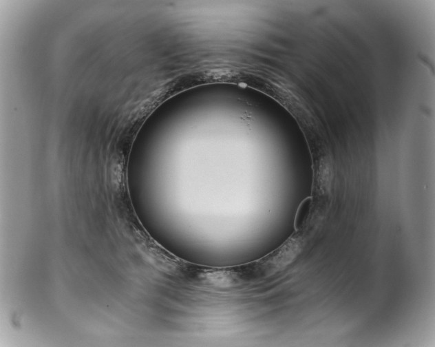 X0000102820417200808181250