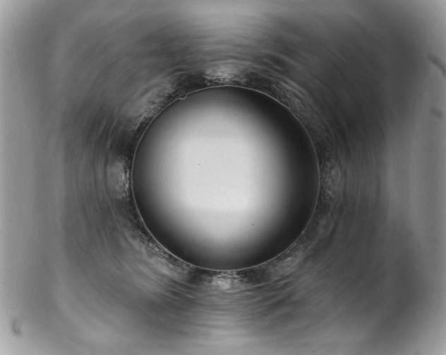 X0000102820420200808181250