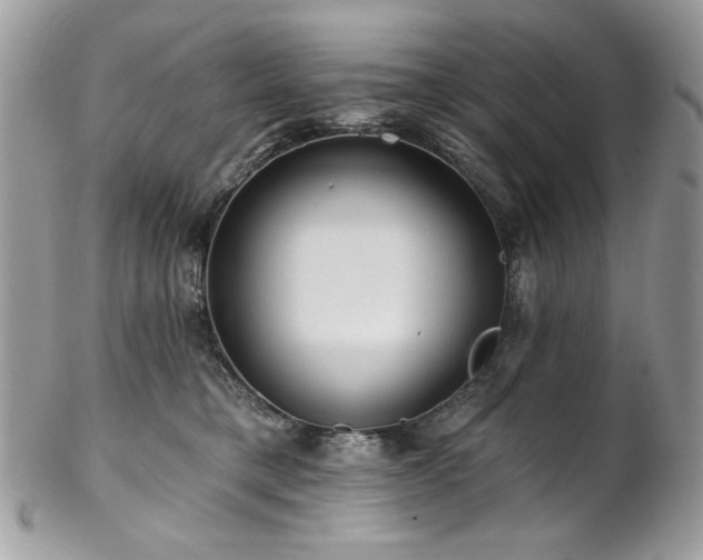 X0000102820421200808181250