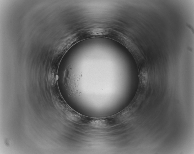 X0000102820422200808181250