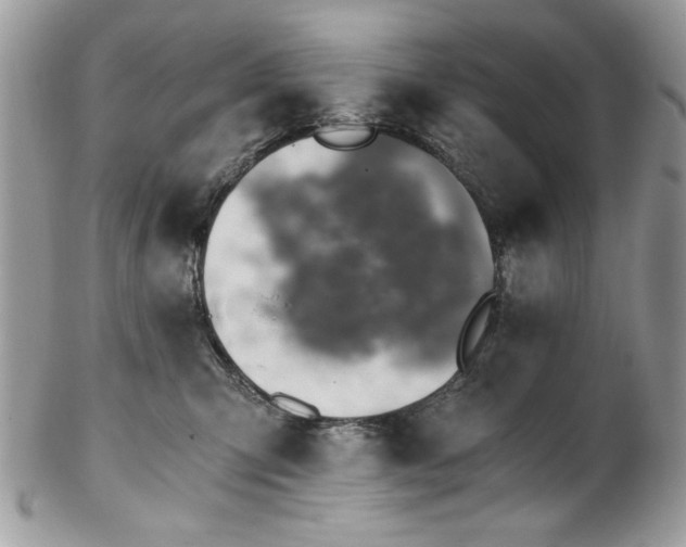 X0000102820423200808181250