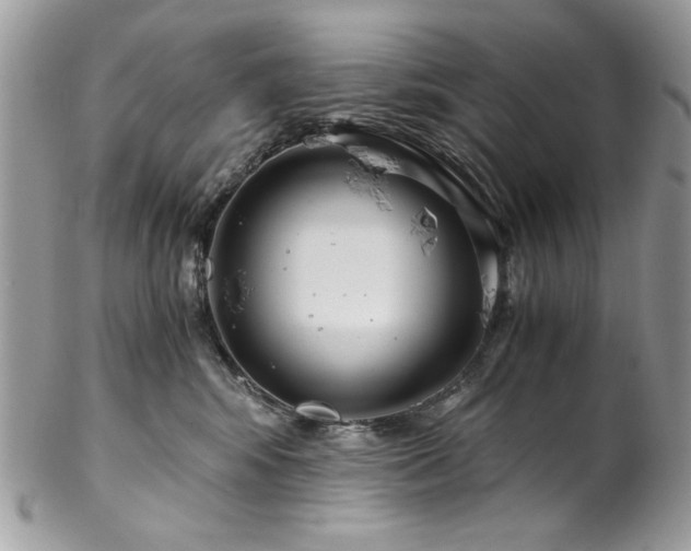 X0000102820424200808181250