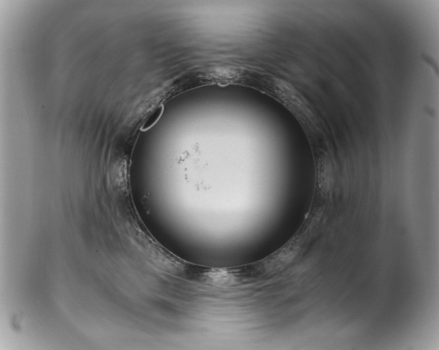 X0000102820425200808181250