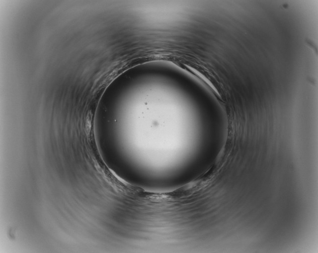 X0000102820427200808181250