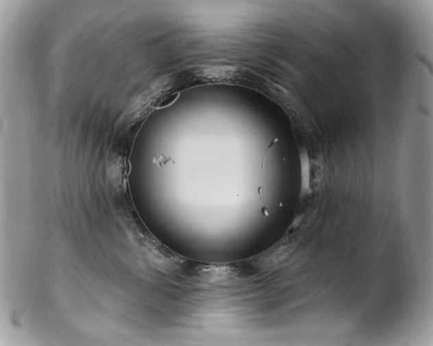 X0000102820428200808181250