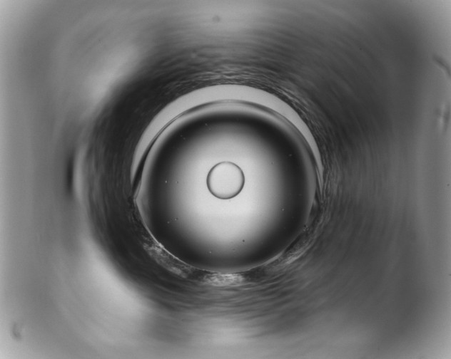 X0000102820429200808181250