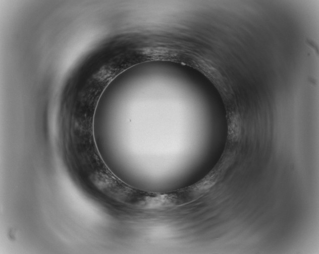 X0000102820430200808181250
