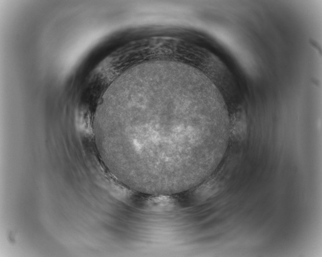 X0000102820431200808181250