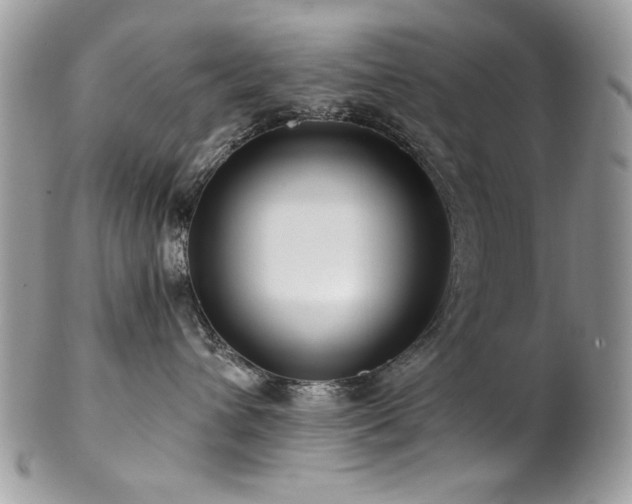 X0000102820432200808181250
