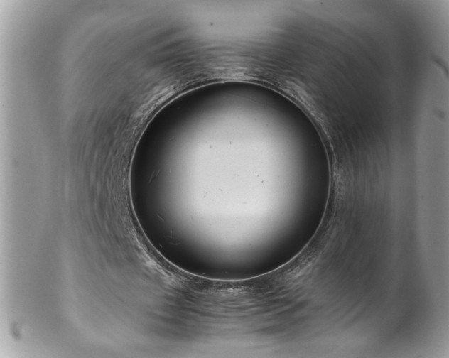 X0000102820433200808181249