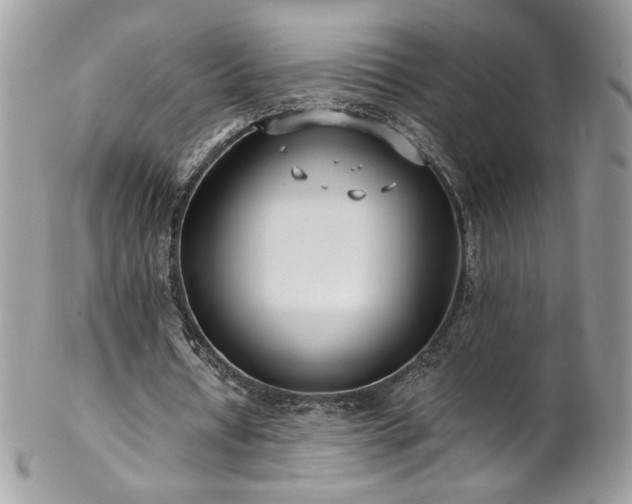 X0000102820434200808181249
