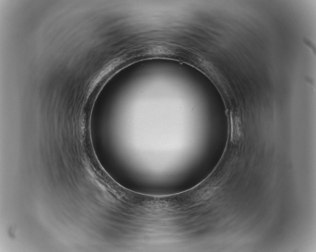 X0000102820435200808181249