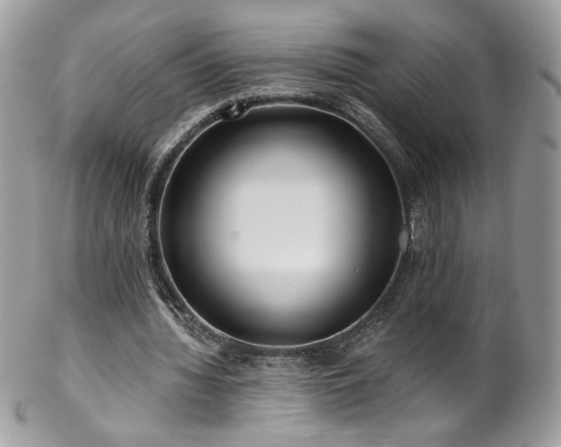 X0000102820436200808181249