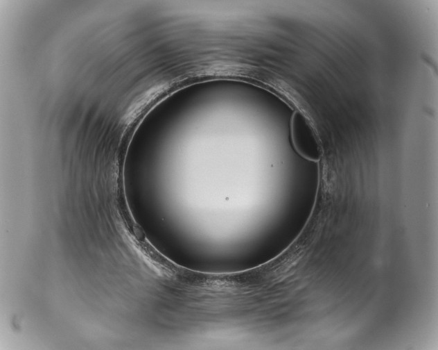 X0000102820437200808181249