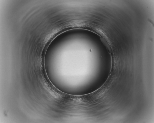 X0000102820439200808181249