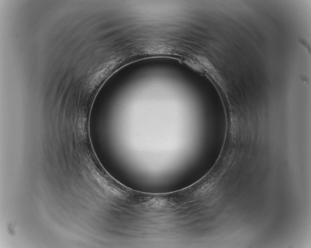 X0000102820441200808181249