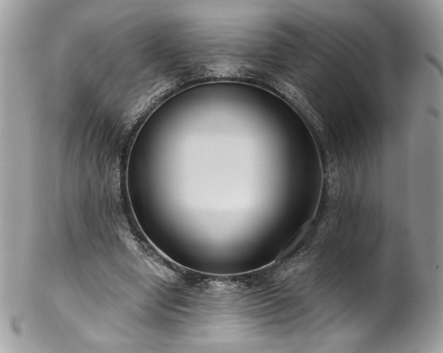 X0000102820442200808181249