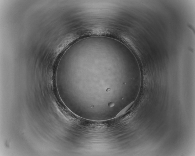 X0000102820443200808181249