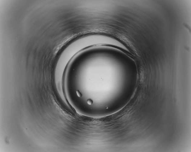 X0000102820444200808181249