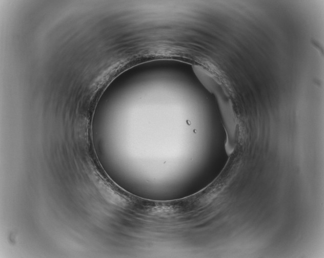 X0000102820445200808181249