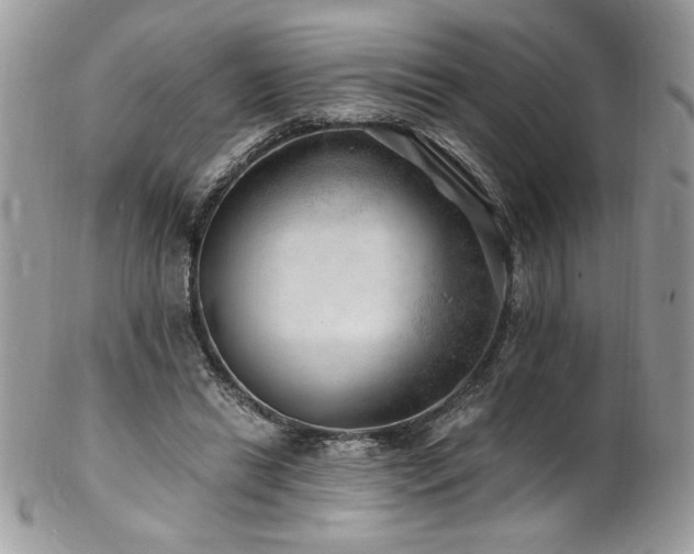X0000102820446200808181249