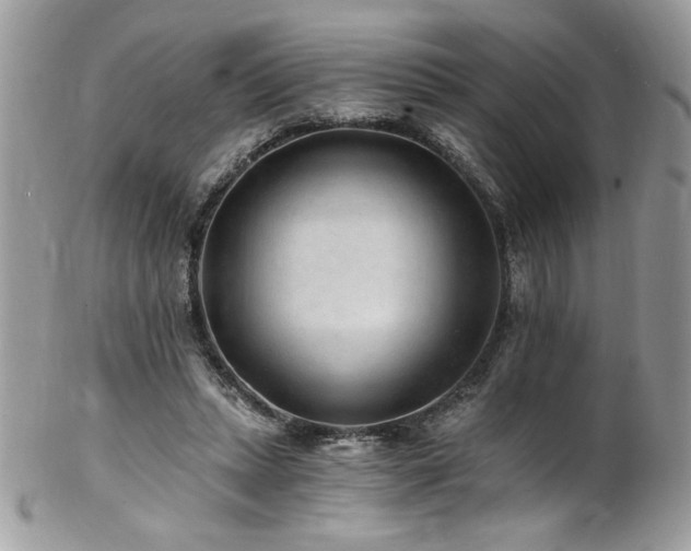 X0000102820447200808181249