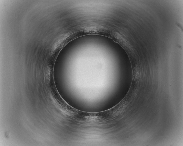 X0000102820448200808181249