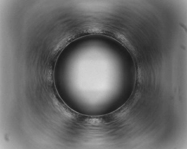 X0000102820449200808181249