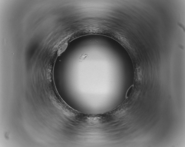 X0000102820450200808181249