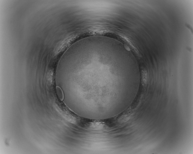 X0000102820451200808181249