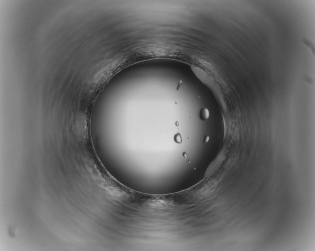 X0000102820453200808181249