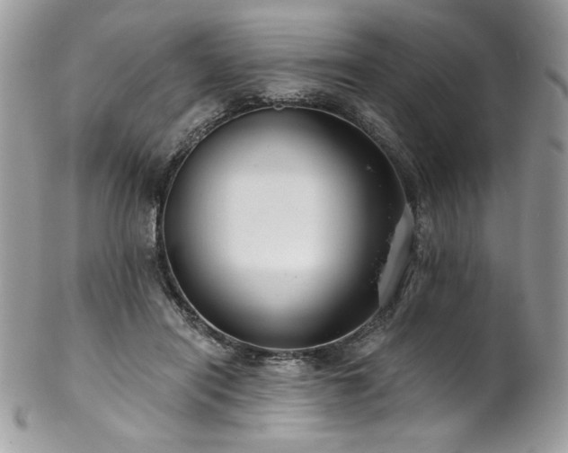 X0000102820454200808181249