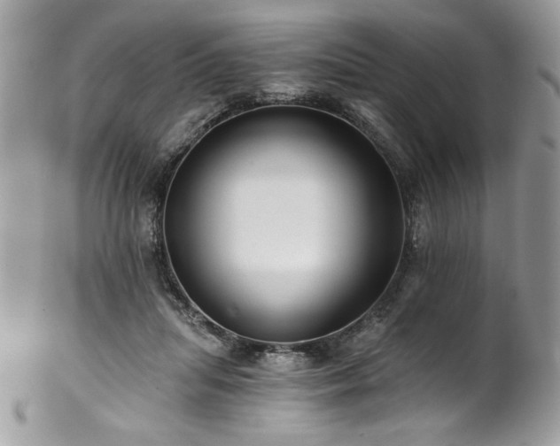 X0000102820455200808181250