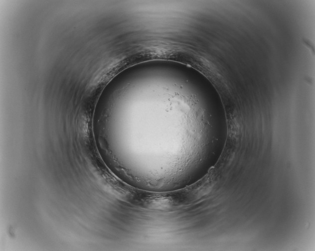 X0000102820456200808181250
